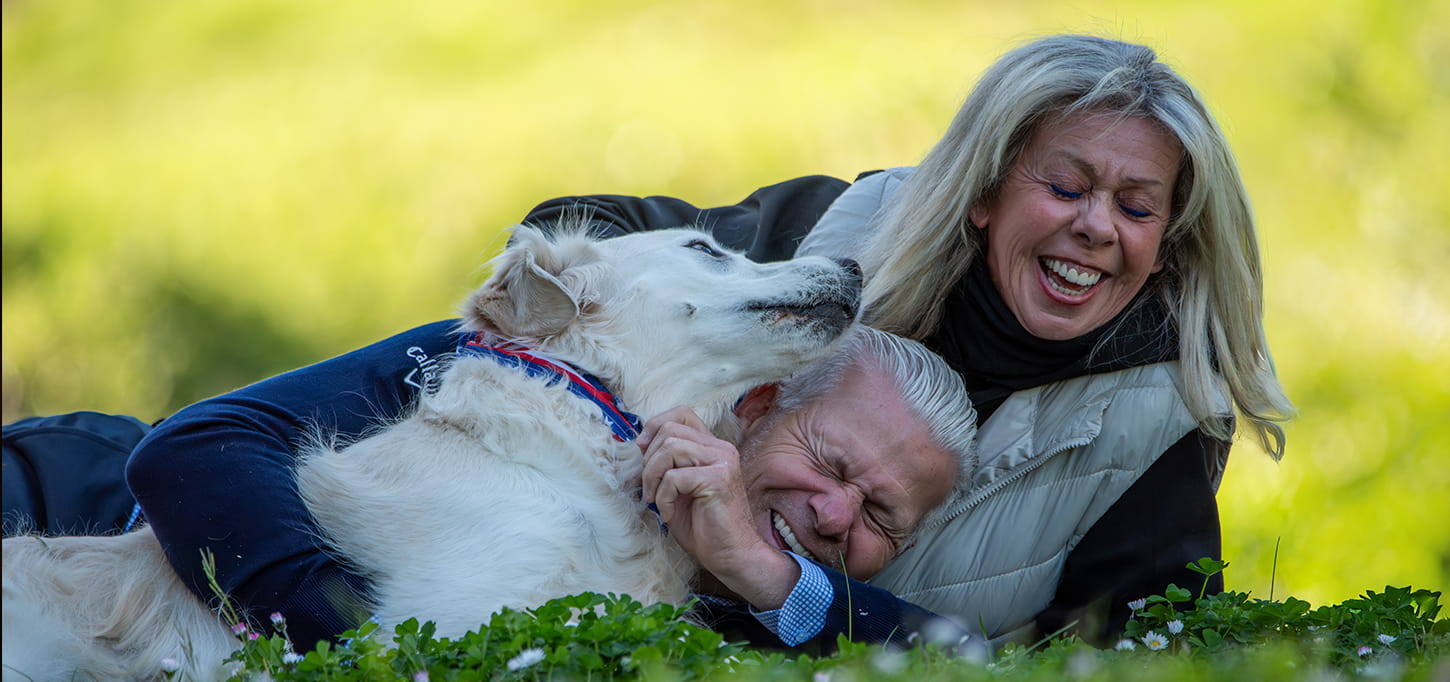 sky_slider_1776781403846